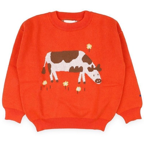 Bobo choses tricot - choses, d'aventure
