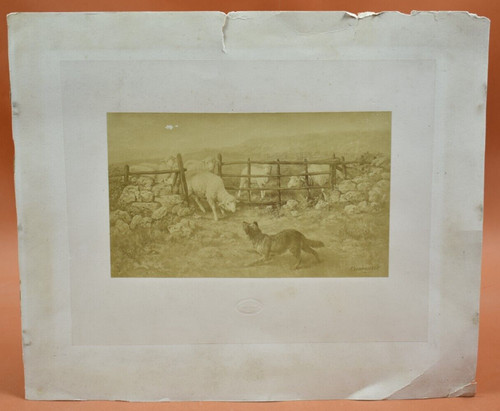 Photogravure xixème le - xixème,