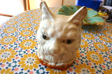 Sublime & ancienne tête de