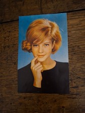 PHOTO image SYLVIE VARTAN