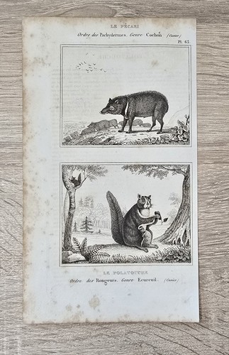 1850 buffon histoire - buffon, naturelle