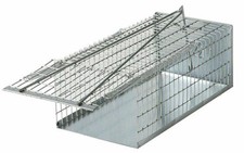 GALERIE PIÈGE POUR SOURIS