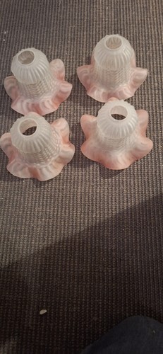 Tulipes globes pour - pour, ou