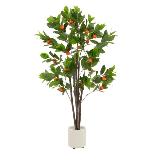 pot plastique plante