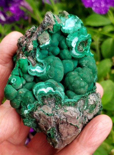 Superbe malachite botryoidale - superbe,