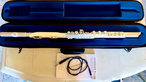 Roland aerophone brisa - aerophone,