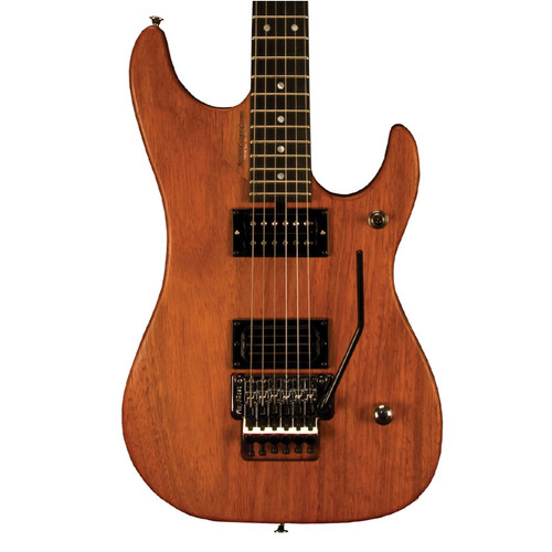 Washburn n4epnm series n4 - washburn, n