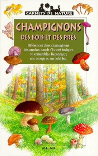 Champignons des bois - bois,