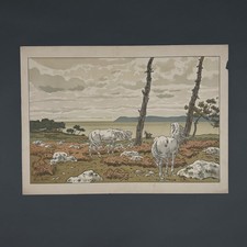 Lithographie par Henri