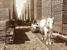 USA États-Unis Bois Scierie