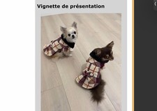 Manteau anglais  pour chien