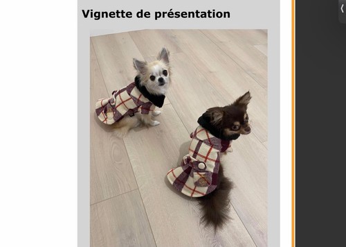 Manteau anglais pour chien - manteau,