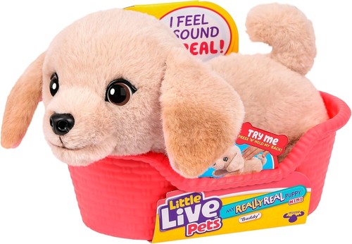 Little live pets - little, mon