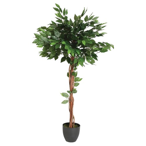 Plante artificielle ficus - plante,