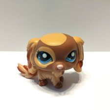 figurine PETSHOP  original  CHIEN DOG CAVAL KING CHARLES 2570 pet shop LPS ( 2 )