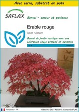 SAFLAX - Kit de culture -