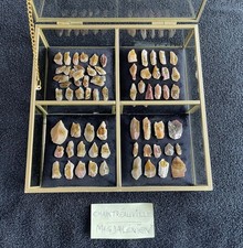 Préhistoire Tardenoisien -