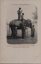 Zoo humain, Exposition