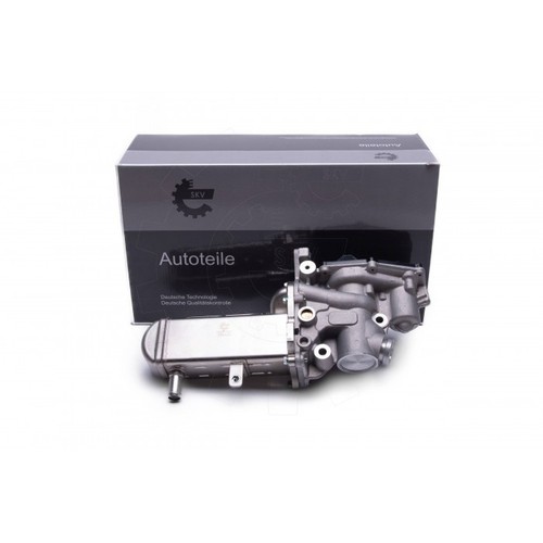 Egr valves for - egr, laguna