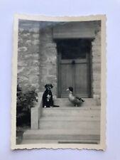 Snapshot Photo originale