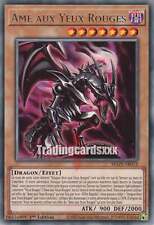 Yu-Gi-Oh! Âme aux Yeux Rouges : R MAZE-FR012