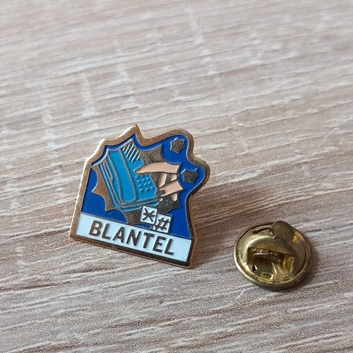 Pins blason ville - pins,
