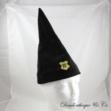 Chapeau de sorcier HARRY