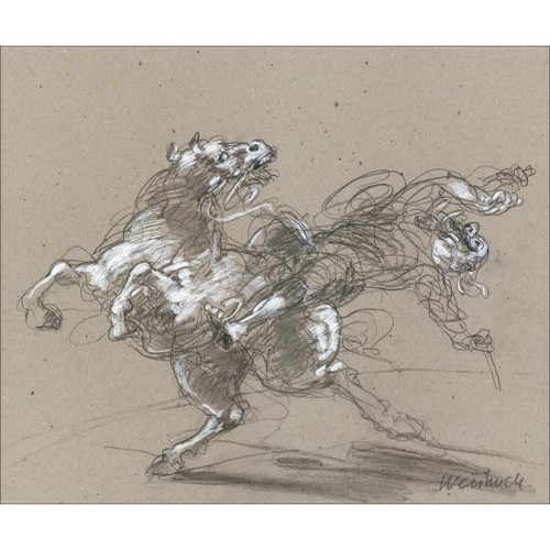 weisbuch dessin