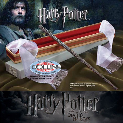 Harry potter sirius - harry, black