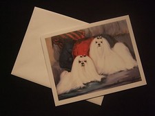 LOT de 6 CARTES + ENVELOPPES -