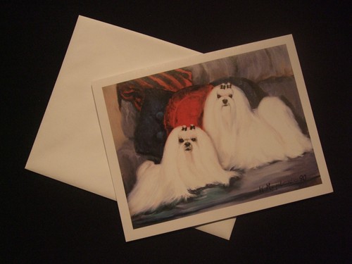 Lot cartes enveloppes - de, 6