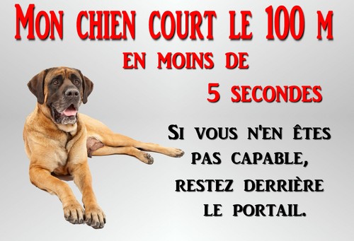 Plaque alu attention chien - alu,