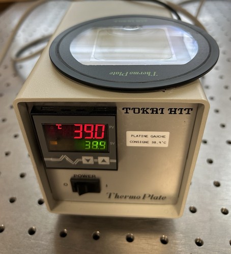 Tokai hit thermoplate - hit, for