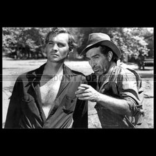 Photo F.029185 J. CARROL NAISH