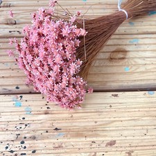 Séché Glixia Bouquet 2 Couleurs Décor Maison Centerpiece Naturel Bouquet Floral