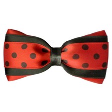 Barrette Pince à Cheveux