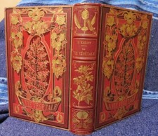 Emery Henry La Vie Végétale