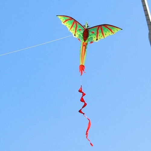 Grand dragon kite dinosaure - grand, kite-dinosaure