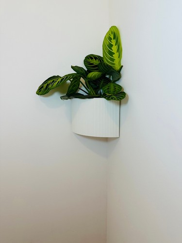 Pot fleur angle - pot, de