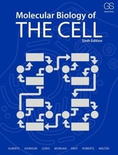 Biologie Moléculaire De La