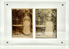 Émile ZOLA. Photographie