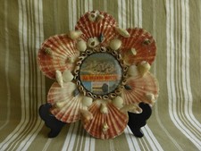 cadre en coquillages souvenir des plages,la grande motte