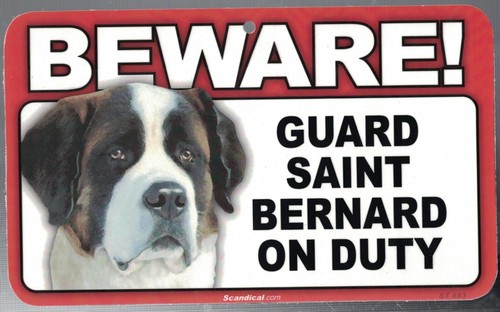 Beware guard saint bernard dog - bernard,