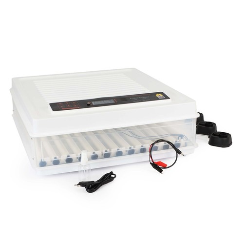 Fudajo couveuse surface - couveuse,