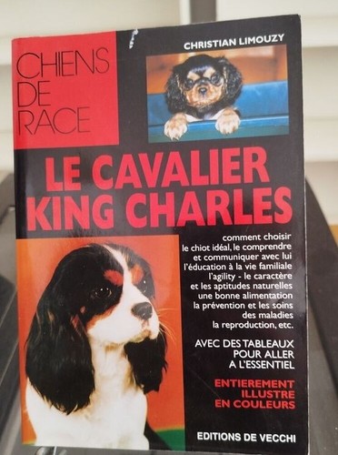 Cavalier king charles - cavalier, |