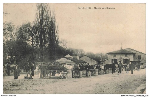 Bcup9 1032 bar - duc,