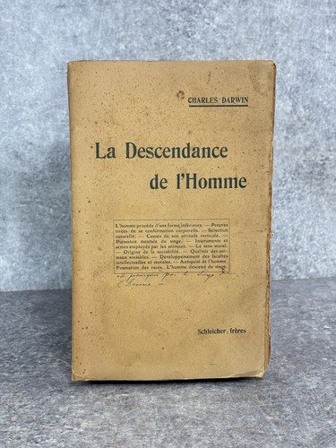 Descendance homme et - de,