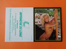 Calendrier poche pin - poche, pin-up