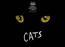 2 Billets Spectacle CAT'S 
