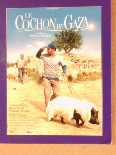 Dvd cochon gaza - le,
